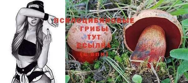 тгк Магадан