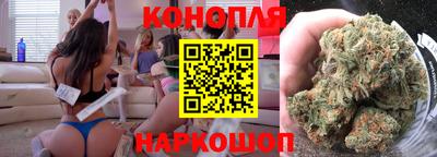 прущие грибы Пенза