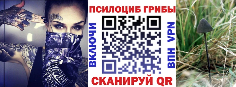 купить наркоту  kraken вход  Псилоцибиновые грибы прущие грибы  Рязань 
