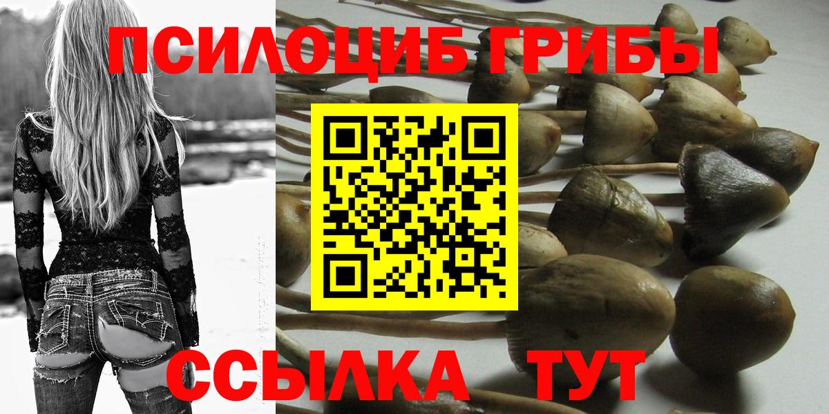 Псилоцибиновые грибы Cubensis  Вход с VPN  Россия 
