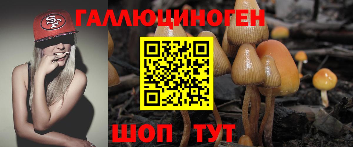 Псилоцибиновые грибы мухоморы Россия