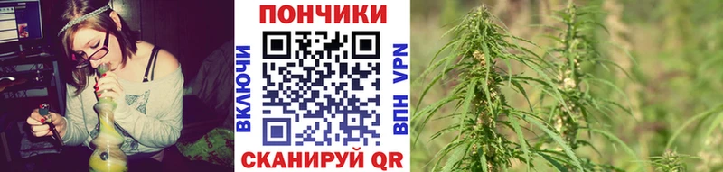 Бошки Шишки конопля Рязань